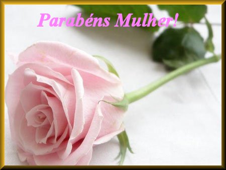 dia_internacional_da_mulher-8425