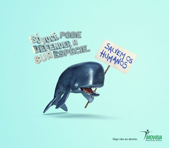 1390752_258053471012098_1153965556_n