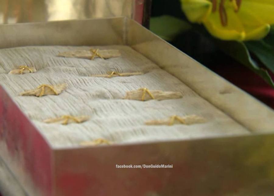 Os ossos de São Pedro