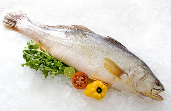 Uma tradição da igreja e de seus fiéis que não deve incomodar aqueles que não a praticam. 