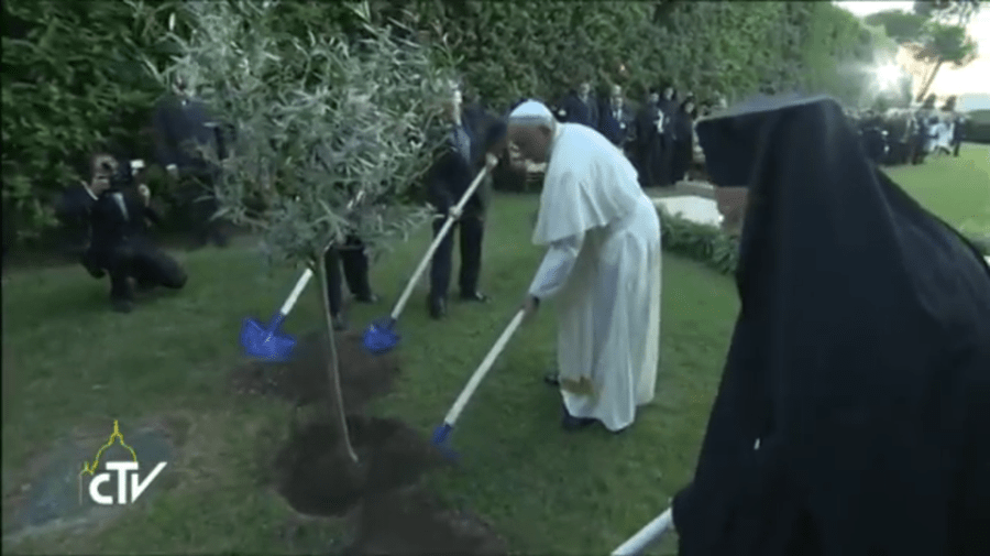 Momento final do encontro foi marcado com o plantio de uma oliveira