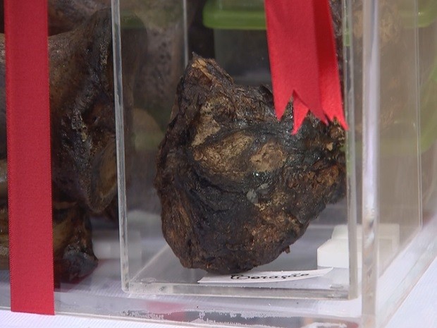 Coração se deteriora em dois meses; padre morreu há 7 anos (Foto: Reprodução / TV TEM)